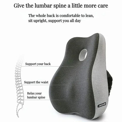 Lumbar Support Cushion for Office Chairs & Cars